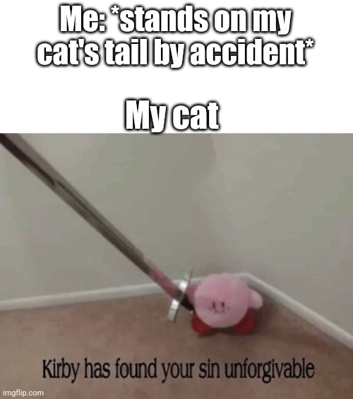 Every day.. | Me: *stands on my cat's tail by accident*; My cat | image tagged in kirby has found your sin unforgivable,cat | made w/ Imgflip meme maker