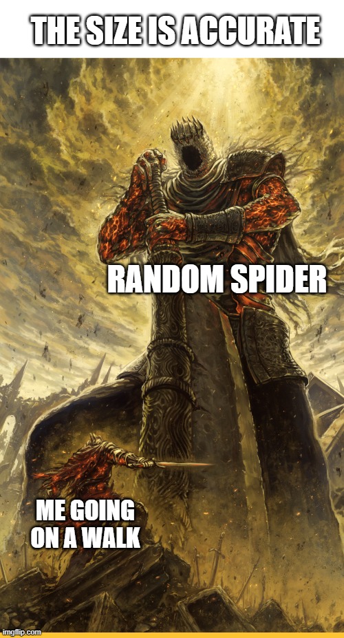 Fantasy Painting | THE SIZE IS ACCURATE; RANDOM SPIDER; ME GOING ON A WALK | image tagged in fantasy painting | made w/ Imgflip meme maker