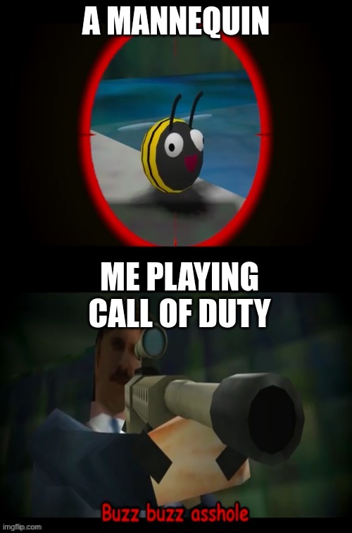 Swagmaster69 attempting to shoot a bee | A MANNEQUIN; ME PLAYING CALL OF DUTY | image tagged in swagmaster69 attempting to shoot a bee | made w/ Imgflip meme maker