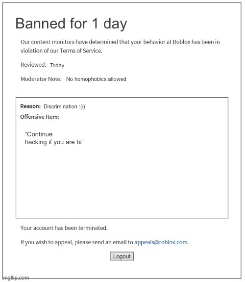 Moderation System | Banned for 1 day; Today; No homophobics allowed; “Continue hacking if you are bi”; Discrimination :((( | image tagged in moderation system | made w/ Imgflip meme maker