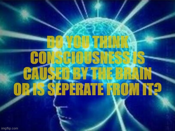If seperate what do you think it (we) really are? | DO YOU THINK CONSCIOUSNESS IS CAUSED BY THE BRAIN OR IS SEPERATE FROM IT? | image tagged in brain,consciousness,question | made w/ Imgflip meme maker