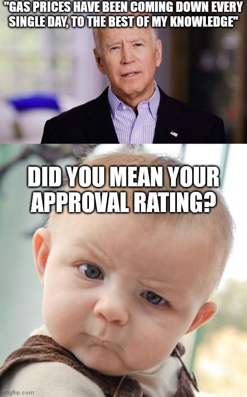 Because that would be accurate | "GAS PRICES HAVE BEEN COMING DOWN EVERY
SINGLE DAY, TO THE BEST OF MY KNOWLEDGE"; DID YOU MEAN YOUR
APPROVAL RATING? | image tagged in joe biden 2020,memes,skeptical baby,gas,biden,democrats | made w/ Imgflip meme maker