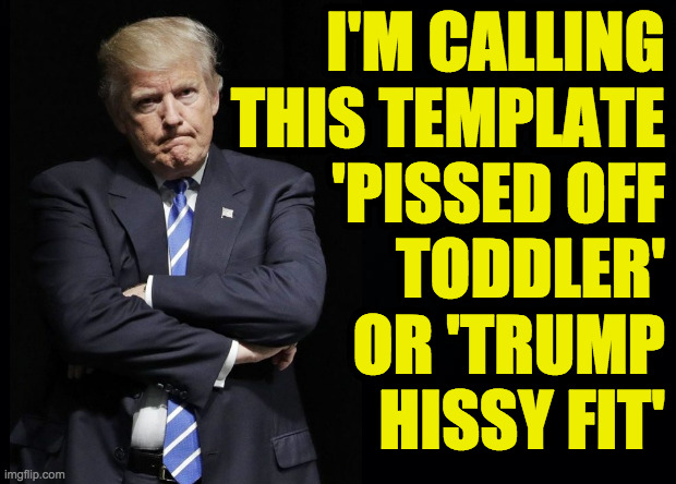 Can you imagine some new guy comes in and reverses all of your progress? | I'M CALLING
THIS TEMPLATE
'PISSED OFF
TODDLER'
OR 'TRUMP
HISSY FIT' | image tagged in pissed off toddler,memes,trump hissy fit | made w/ Imgflip meme maker