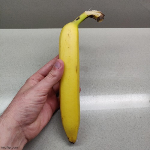 straight banana | image tagged in straight banana | made w/ Imgflip meme maker