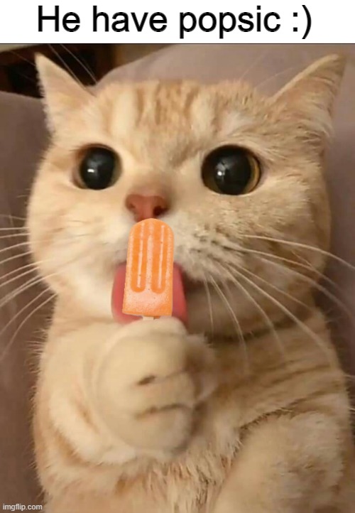 Popsic :) | He have popsic :) | image tagged in cat,popsicle,popsicle cat | made w/ Imgflip meme maker