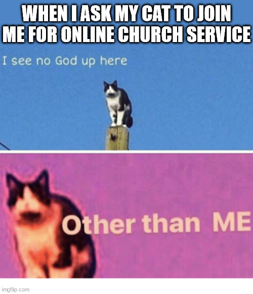 Online Church with my cat... | WHEN I ASK MY CAT TO JOIN ME FOR ONLINE CHURCH SERVICE | image tagged in hail pole cat,dank,christian,memes,r/dankchristianmemes | made w/ Imgflip meme maker