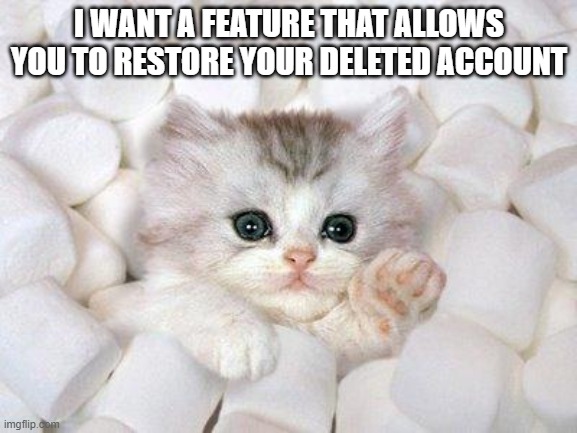Please | I WANT A FEATURE THAT ALLOWS YOU TO RESTORE YOUR DELETED ACCOUNT | image tagged in marshmallow cat,memes,president_joe_biden | made w/ Imgflip meme maker