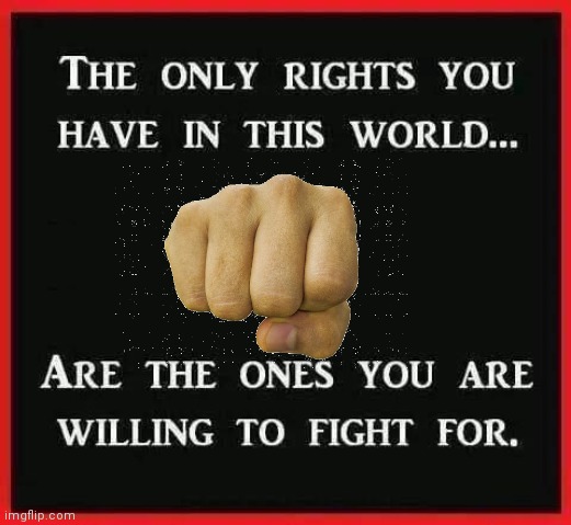 Fight for your rights | image tagged in fist | made w/ Imgflip meme maker