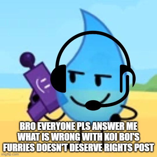 teardrop gaming | BRO EVERYONE PLS ANSWER ME WHAT IS WRONG WITH KOI BOI'S FURRIES DOESN'T DESERVE RIGHTS POST | image tagged in teardrop gaming | made w/ Imgflip meme maker