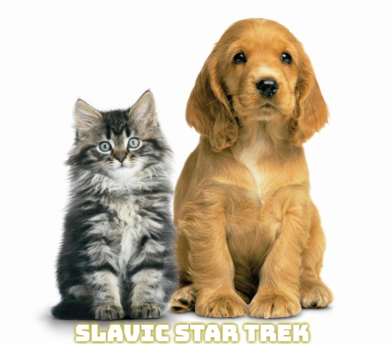Mother's Day  pets animals cats dogs adoption | Slavic Star Trek | image tagged in mother's day pets animals cats dogs adoption,slavic star trek,slavic,star trek | made w/ Imgflip meme maker
