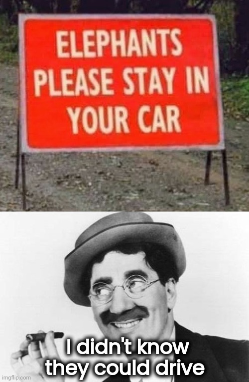 I didn't know they could drive | image tagged in groucho marx | made w/ Imgflip meme maker