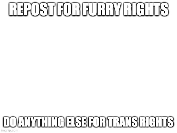 y'all ready to get your priorities in check? | REPOST FOR FURRY RIGHTS; DO ANYTHING ELSE FOR TRANS RIGHTS | image tagged in blank white template | made w/ Imgflip meme maker