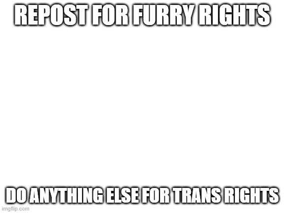 im supporting furries bc i am what | REPOST FOR FURRY RIGHTS; DO ANYTHING ELSE FOR TRANS RIGHTS | image tagged in blank white template | made w/ Imgflip meme maker