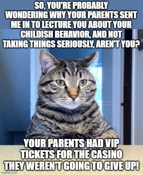 Seriously... | SO, YOU'RE PROBABLY WONDERING WHY YOUR PARENTS SENT ME IN TO LECTURE YOU ABOUT YOUR CHILDISH BEHAVIOR, AND NOT TAKING THINGS SERIOUSLY, AREN'T YOU? YOUR PARENTS HAD VIP TICKETS FOR THE CASINO THEY WEREN'T GOING TO GIVE UP! | image tagged in serious cat,cats,funny cats,memes,cat memes,humor | made w/ Imgflip meme maker