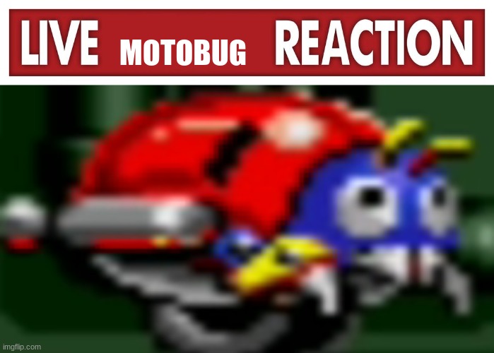 live motobug reaction | image tagged in live motobug reaction | made w/ Imgflip meme maker