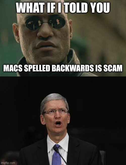 WHAT IF I TOLD YOU; MACS SPELLED BACKWARDS IS SCAM | image tagged in memes,matrix morpheus,tim cook | made w/ Imgflip meme maker