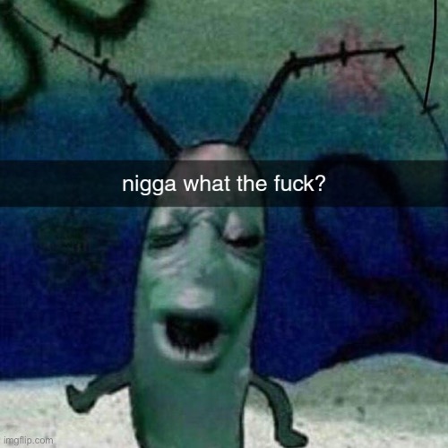 nigga what the fuck? | image tagged in nigga what the fuck | made w/ Imgflip meme maker