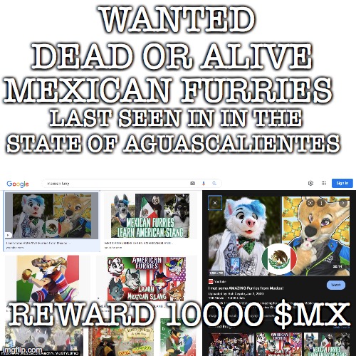 We head for Aguascalientes, Mexico men | WANTED DEAD OR ALIVE; MEXICAN FURRIES; LAST SEEN IN IN THE STATE OF AGUASCALIENTES; REWARD 10000 $MX | made w/ Imgflip meme maker