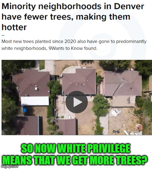 True story | SO NOW WHITE PRIVILEGE MEANS THAT WE GET MORE TREES? | image tagged in white privilege,trees,rush | made w/ Imgflip meme maker