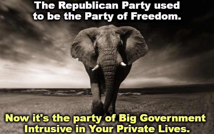 Angry elephant Republican death threats | The Republican Party used to be the Party of Freedom. Now it's the party of Big Government 
Intrusive in Your Private Lives. | image tagged in angry elephant republican death threats,gop,republican party,big government,private,lives | made w/ Imgflip meme maker