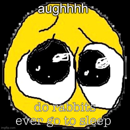 pure agony | aughhhh; do rabbits ever go to sleep | image tagged in pure agony | made w/ Imgflip meme maker