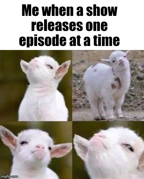 Me when a show releases one episode at a time | image tagged in blank white template,smug goat | made w/ Imgflip meme maker