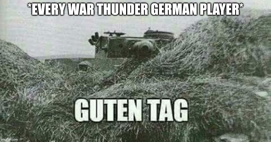 *me who would pop yo ass with a ASU* | *EVERY WAR THUNDER GERMAN PLAYER* | image tagged in german guten tag tiger | made w/ Imgflip meme maker