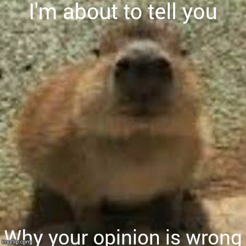gort | I'm about to tell you; Why your opinion is wrong | image tagged in gort,ratio,jester- | made w/ Imgflip meme maker