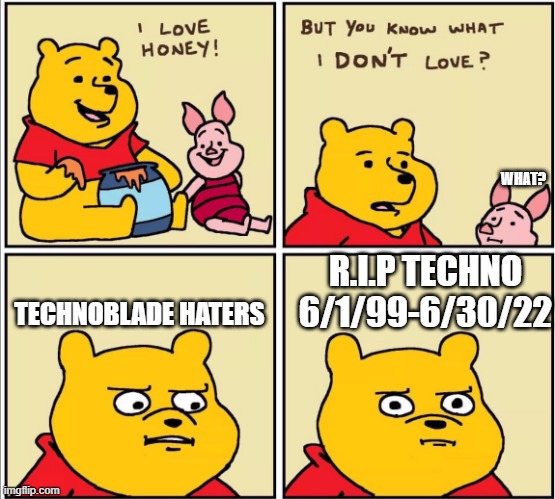This is for you Technoblade stans!!!! |  WHAT? R.I.P TECHNO 6/1/99-6/30/22; TECHNOBLADE HATERS | image tagged in serious winnie the pooh | made w/ Imgflip meme maker