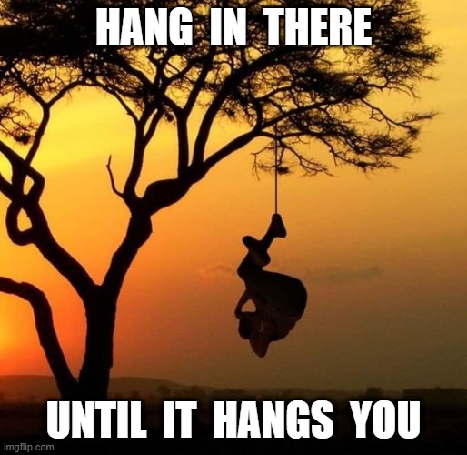 Hang in there | HANG  IN  THERE; UNTIL  IT  HANGS  YOU | image tagged in hanging out | made w/ Imgflip meme maker