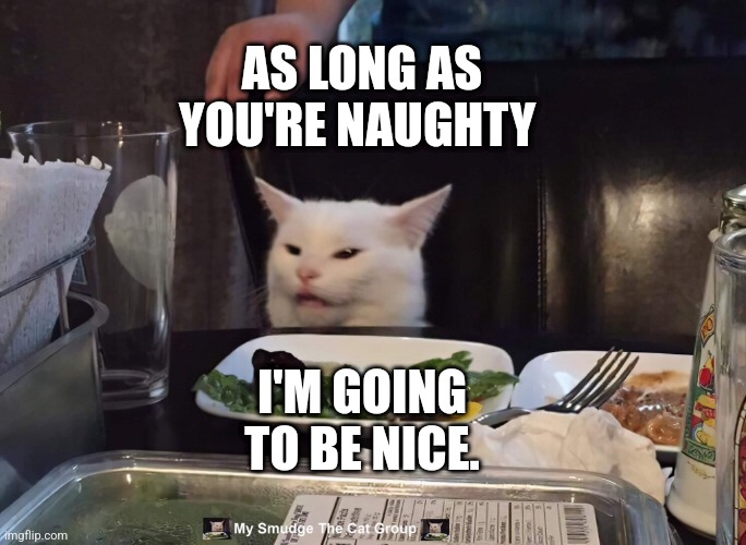 AS LONG AS YOU'RE NAUGHTY; I'M GOING TO BE NICE. | image tagged in smudge the cat | made w/ Imgflip meme maker