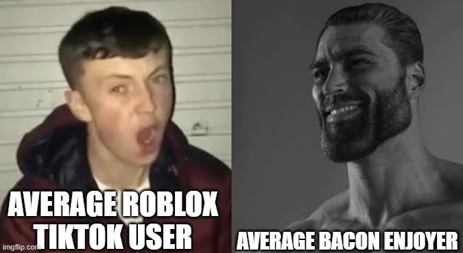 The average user of ROBLOX - Imgflip