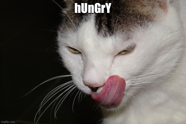YUMMY | hUnGrY | image tagged in yummy | made w/ Imgflip meme maker