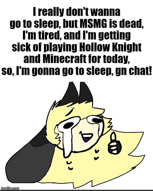 I really don't wanna go to sleep, but MSMG is dead, I'm tired, and I'm getting sick of playing Hollow Knight and Minecraft for today, so, I'm gonna go to sleep, gn chat! | image tagged in i'm okay luna | made w/ Imgflip meme maker