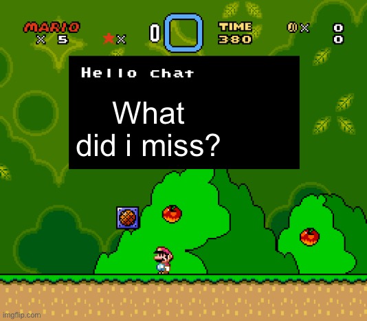 Hello Chat | What did i miss? | image tagged in hello chat | made w/ Imgflip meme maker