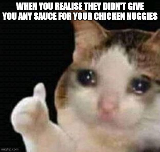 sad thumbs up cat | WHEN YOU REALISE THEY DIDN'T GIVE YOU ANY SAUCE FOR YOUR CHICKEN NUGGIES | image tagged in sad thumbs up cat | made w/ Imgflip meme maker
