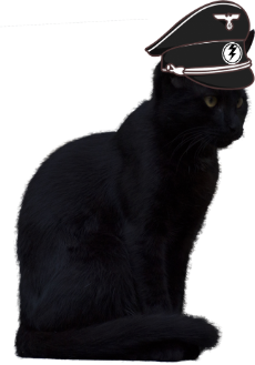 High Quality black cat AMT officer Blank Meme Template