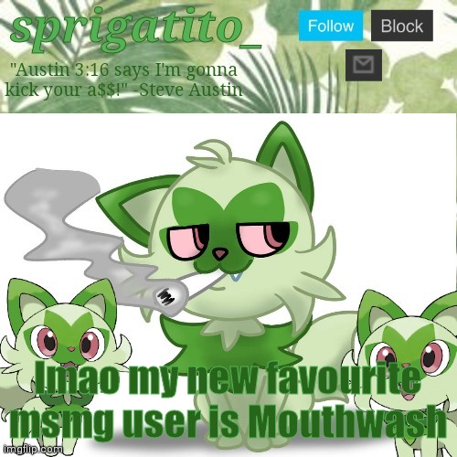 Hello chat | Imao my new favourite msmg user is Mouthwash | image tagged in sprigatito_ announce template,hello,announcement,why are you reading the tags,go away | made w/ Imgflip meme maker