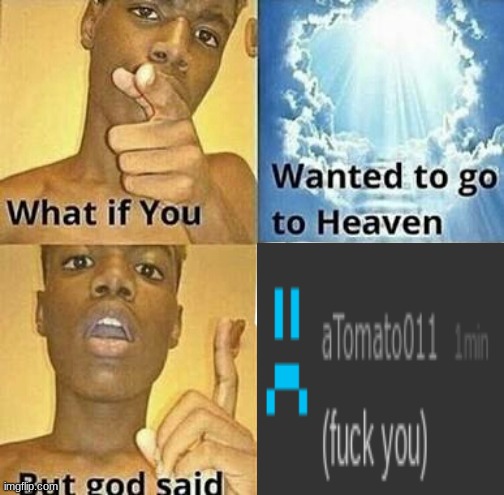 What if you wanted to go to Heaven | image tagged in what if you wanted to go to heaven | made w/ Imgflip meme maker