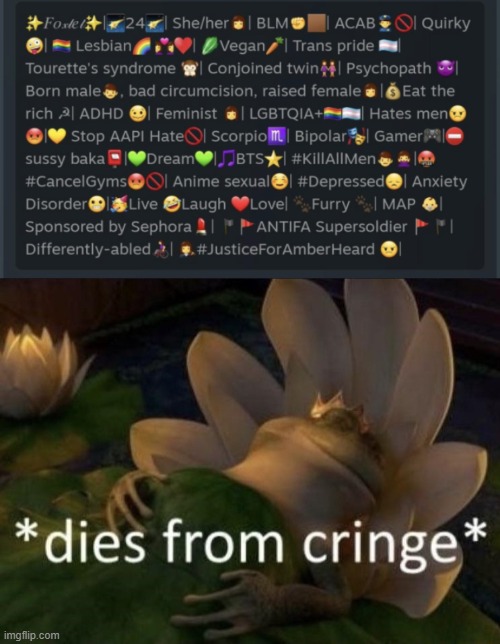 twitter users in a nutshell | image tagged in dies from cringe,memes | made w/ Imgflip meme maker