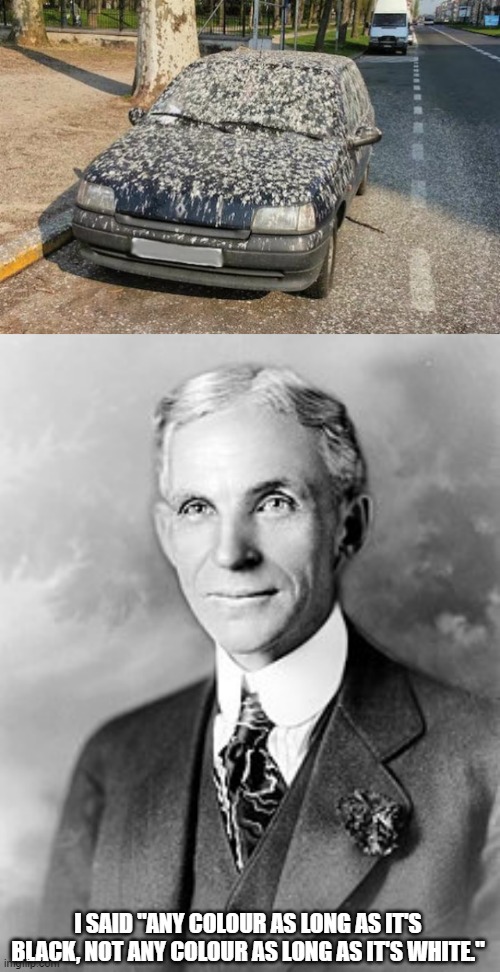 I SAID "ANY COLOUR AS LONG AS IT'S BLACK, NOT ANY COLOUR AS LONG AS IT'S WHITE." | image tagged in car covered in bird droppings,henry ford | made w/ Imgflip meme maker