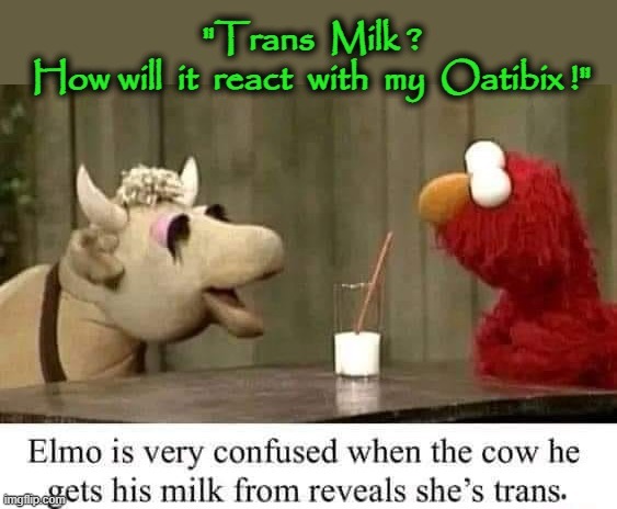 Elmo`s milk | image tagged in trans am | made w/ Imgflip meme maker