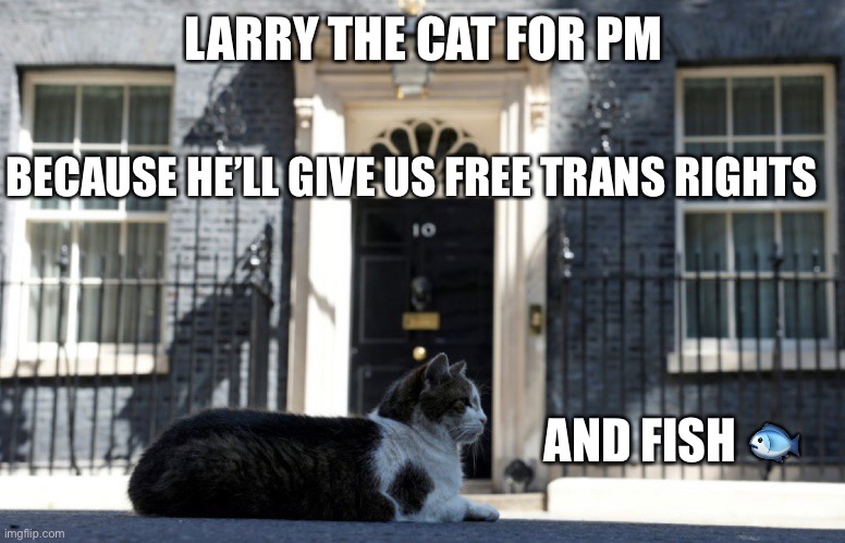 LARRY THE CAT FOR PM; BECAUSE HE’LL GIVE US FREE TRANS RIGHTS; AND FISH 🐟 | made w/ Imgflip meme maker