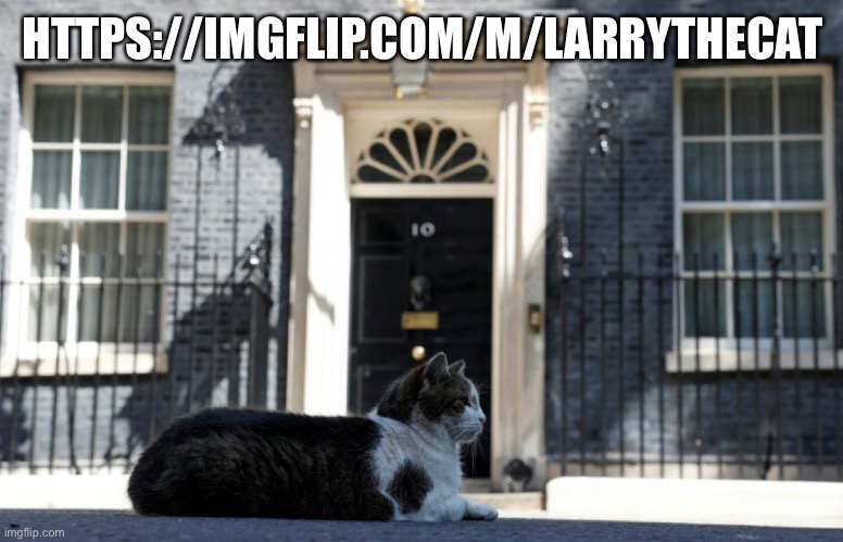 Follow for Larry the cat | HTTPS://IMGFLIP.COM/M/LARRYTHECAT | made w/ Imgflip meme maker