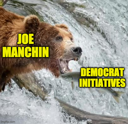 This bear looks Russian and Republican to me. | JOE
MANCHIN; DEMOCRAT
INITIATIVES | image tagged in let opportunities come to you,memes,manchin | made w/ Imgflip meme maker