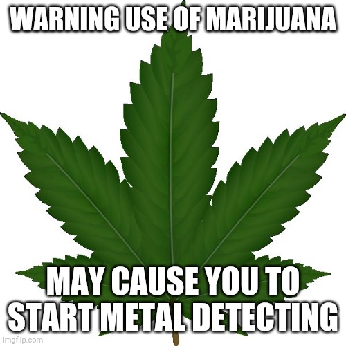 weed | WARNING USE OF MARIJUANA; MAY CAUSE YOU TO START METAL DETECTING | image tagged in weed | made w/ Imgflip meme maker