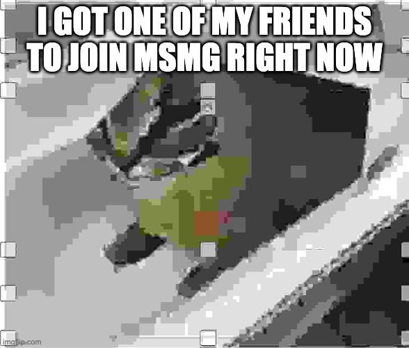 Very low quality floppa | I GOT ONE OF MY FRIENDS TO JOIN MSMG RIGHT NOW | image tagged in very low quality floppa | made w/ Imgflip meme maker