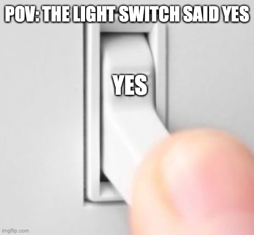Light switch | YES POV: THE LIGHT SWITCH SAID YES | image tagged in light switch | made w/ Imgflip meme maker