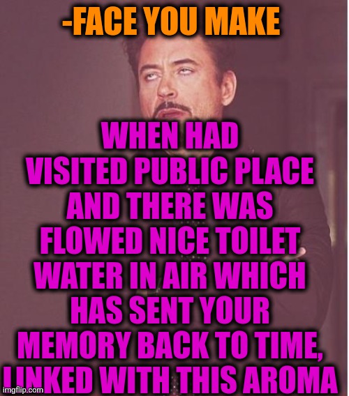 -Stepping street. | WHEN HAD VISITED PUBLIC PLACE AND THERE WAS FLOWED NICE TOILET WATER IN AIR WHICH HAS SENT YOUR MEMORY BACK TO TIME, LINKED WITH THIS AROMA; -FACE YOU MAKE | image tagged in memes,face you make robert downey jr,toilet humor,pepperidge farm remembers,back to the future,wall street | made w/ Imgflip meme maker