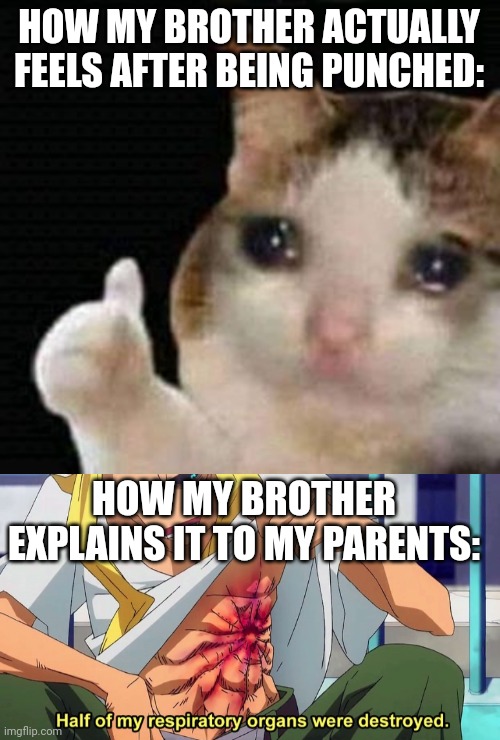  HOW MY BROTHER ACTUALLY FEELS AFTER BEING PUNCHED:; HOW MY BROTHER EXPLAINS IT TO MY PARENTS: | image tagged in sad thumbs up cat,half of my respiratory organs were destroyed,bruh,siblings | made w/ Imgflip meme maker